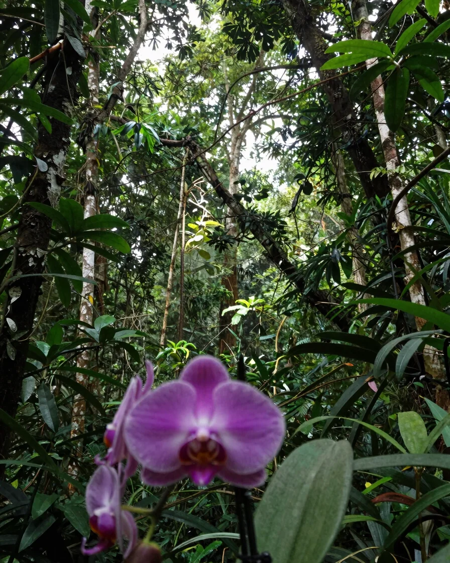 Sun-dappled rainforest canopy with a vibrant orchid in the foreground, soft natural daylight, 35mm crisp lens focus, Mex